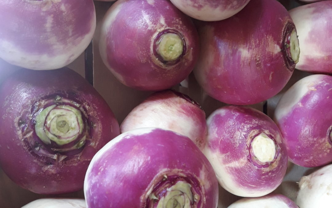 La conversion vers l’agriculture biologique
