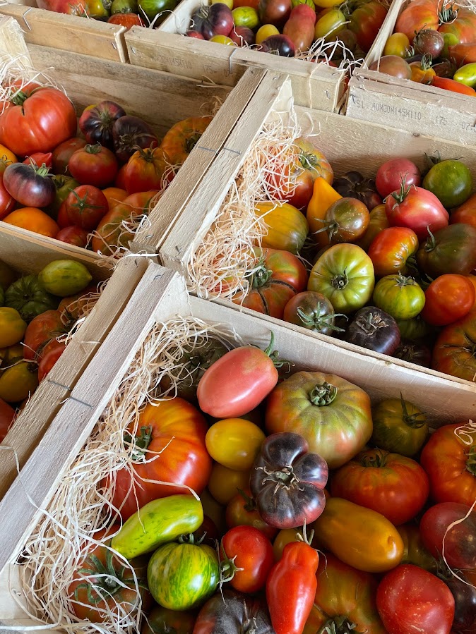 Tomates anciennes