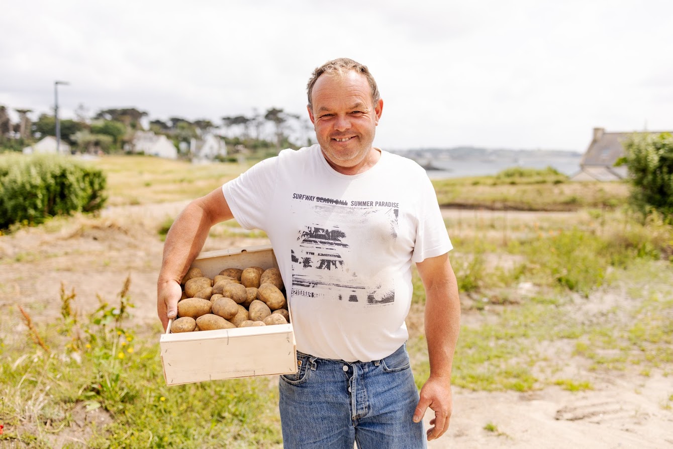 Pomme de terre primeur de l'ile de Batz