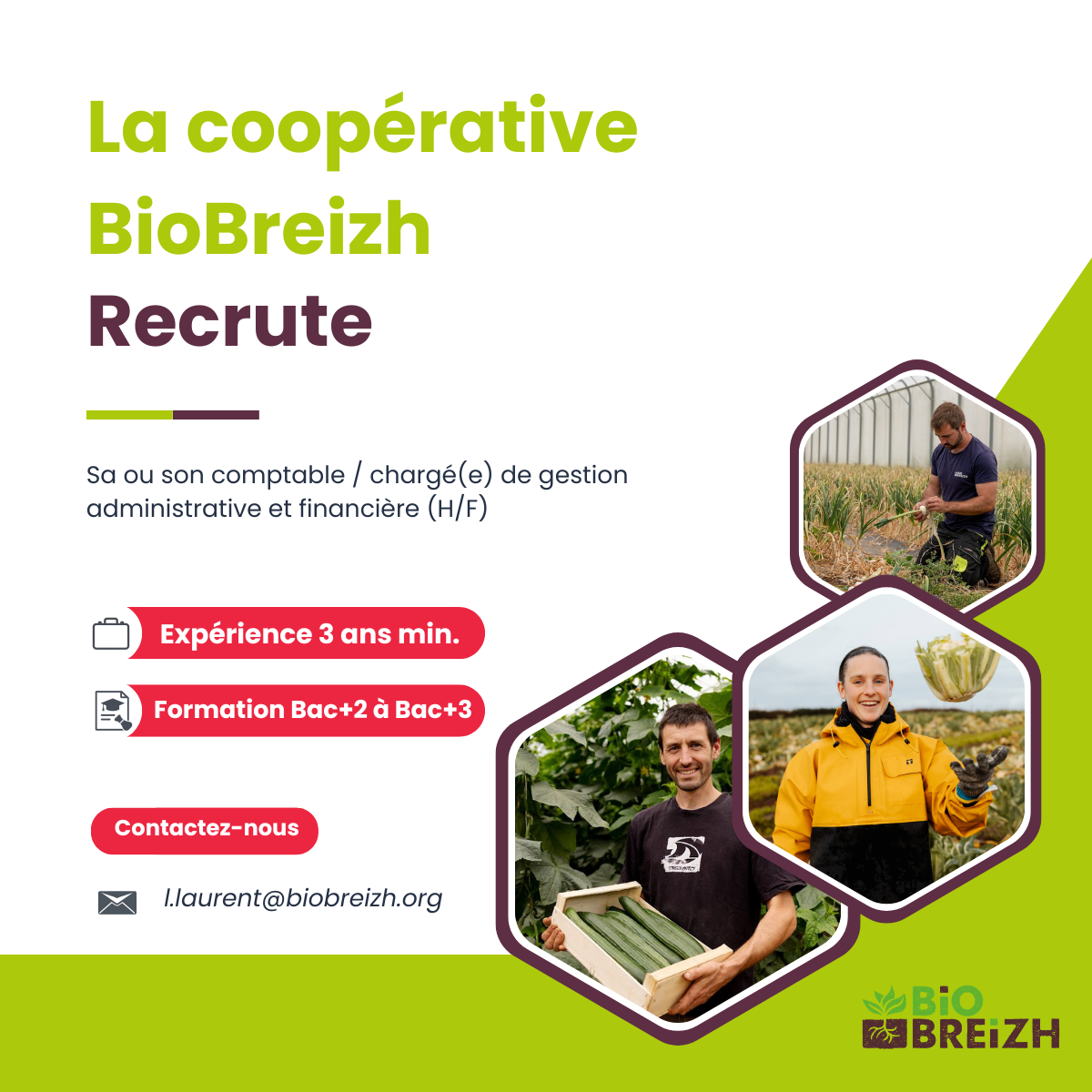 Offre d'emploi